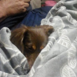 Meet your Posher, Cheryl